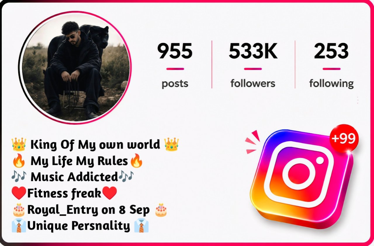 Instagram Bio For Boys Simple